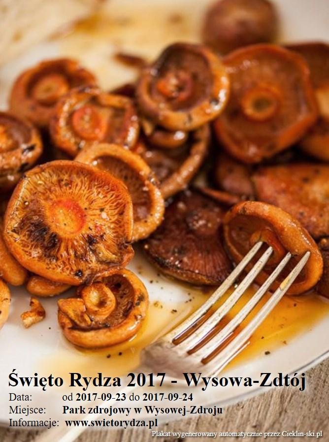 Święto Rydza 2017 - Wysowa-Zdtój Święto Rydza 2017 - Wysowa-Zdtój